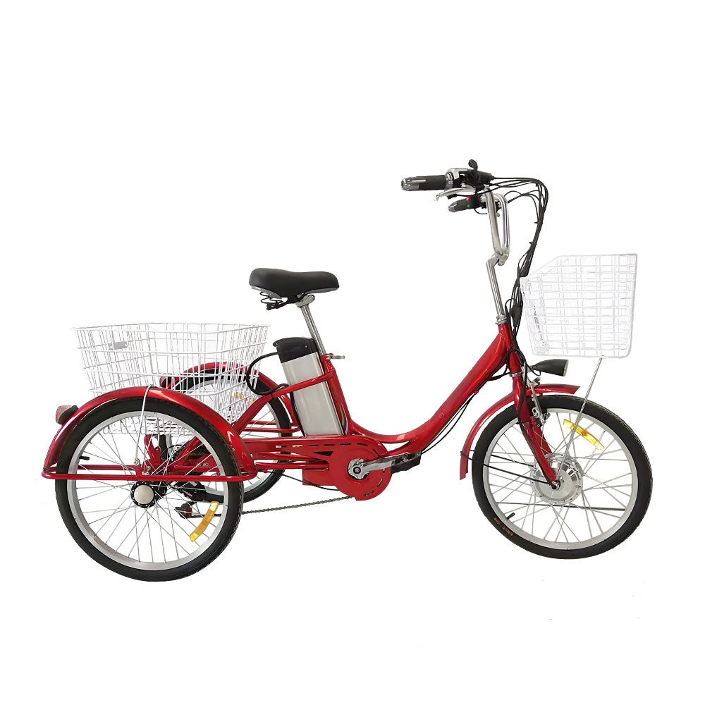 AKEZ PET-009 350W 36V 8.7Ah 3 Wheels Electric Bike Steel Frame Front and Rear Baskets - Red