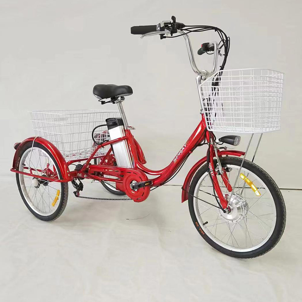 AKEZ PET-009 350W 36V 8.7Ah 3 Wheels Electric Bike Steel Frame Front and Rear Baskets - Red