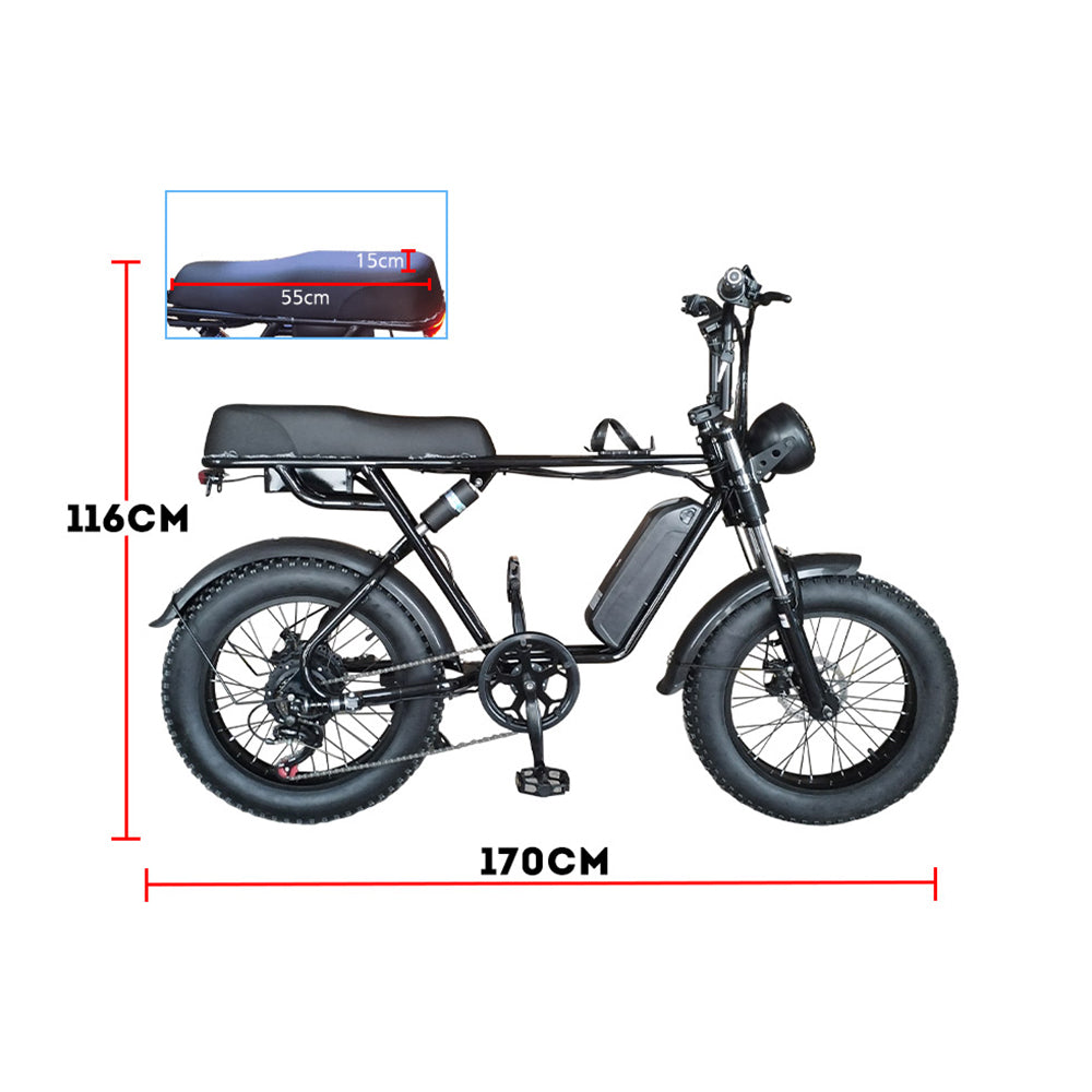 AKEZ 750W 48V R1ZCC Snow Bicycle 20 Inches Electric Bike eBike Battery