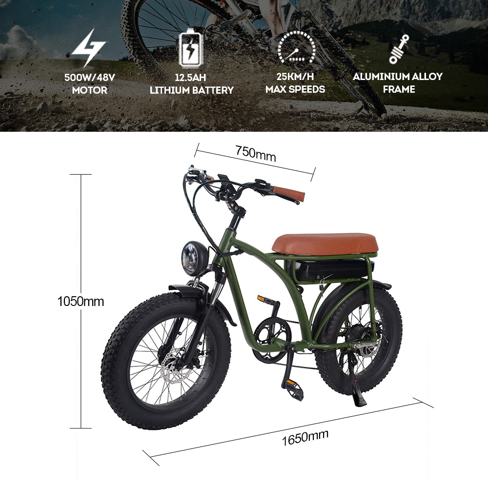 AKEZ ESBIKE-01 500W 48V 12.5AH Retro Design Electric Bike Fat Tire LED Display Device - Army Green