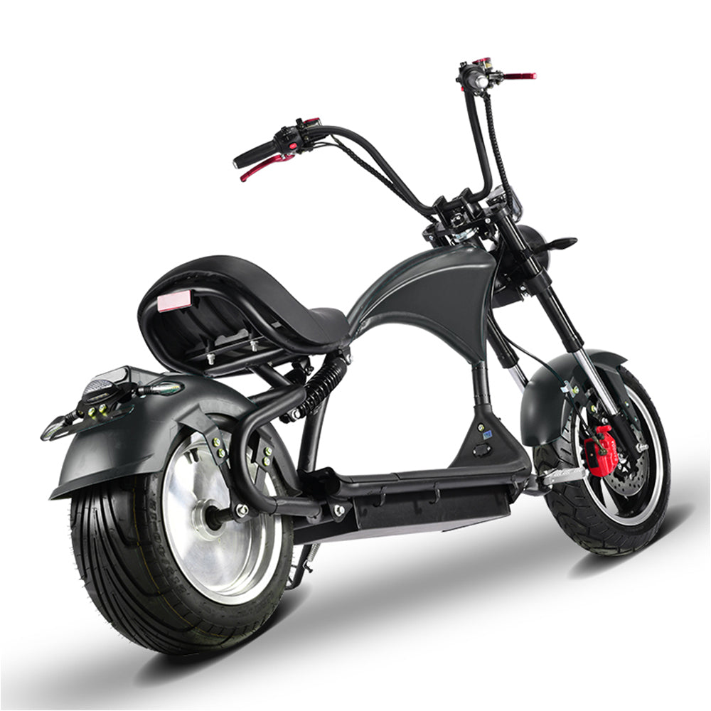 2500W SMDU1 HALLEY Electric Scooter Big Wheel Motorized Adult Riding