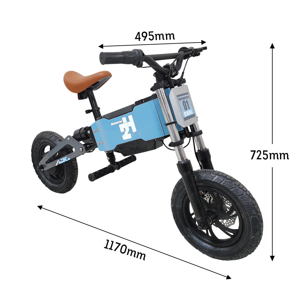 AKEZ H2 150W 24V 4Ah Electric Scooter for Kids Aluminum Frame - Blue