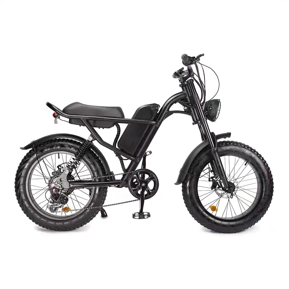 [10% OFF PRE-SALE] T&R SPORTS 500W 48V 20 Inches Fat Tire Electric Bike Large Capacity Removable Battery - Black (Dispatch in 8 weeks) T&R Sports