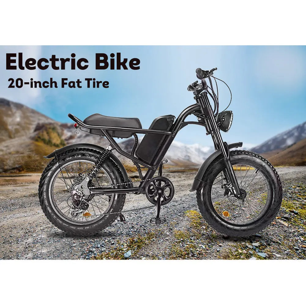 [10% OFF PRE-SALE] T&R SPORTS 500W 48V 20 Inches Fat Tire Electric Bike Large Capacity Removable Battery - Black (Dispatch in 8 weeks) T&R Sports