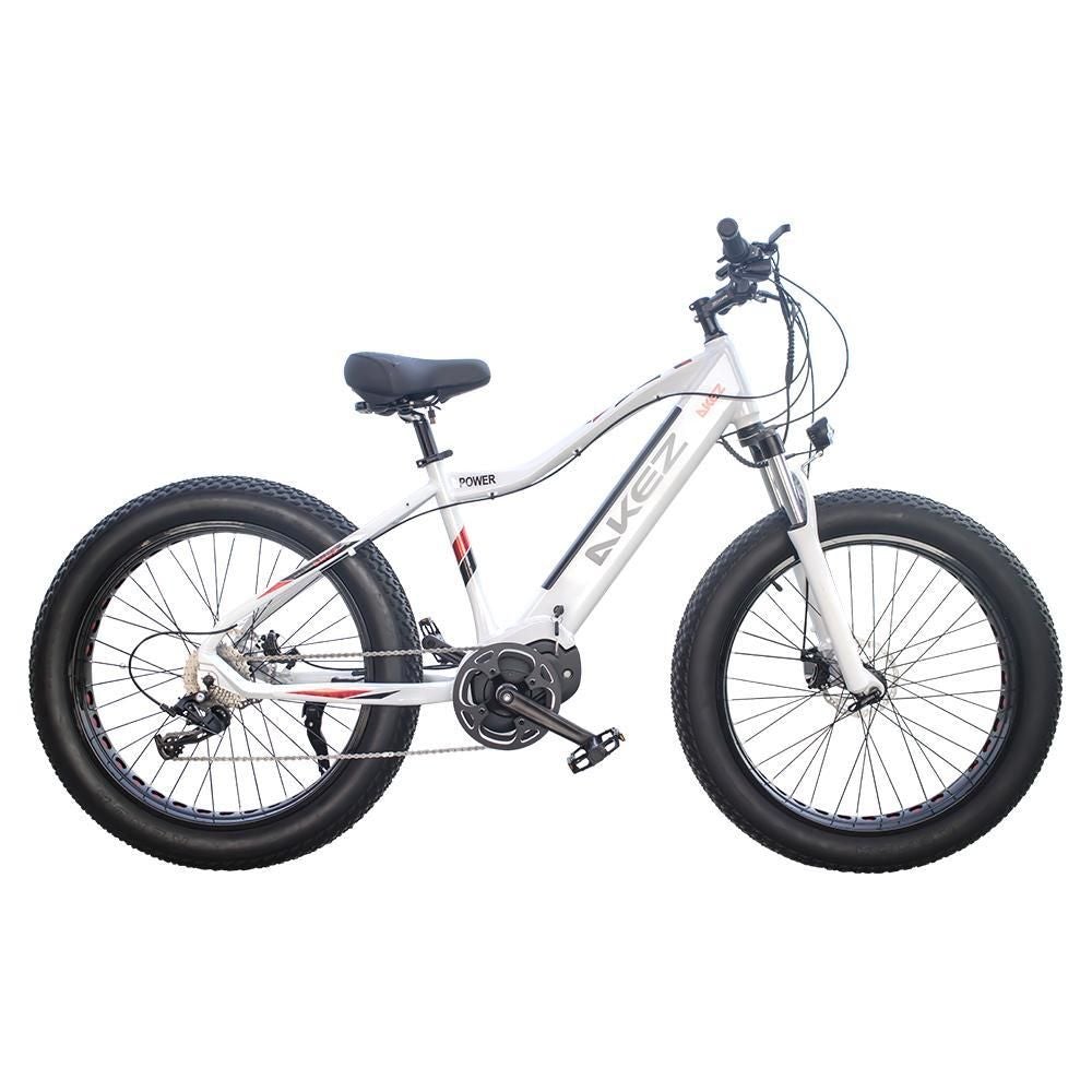 AKEZ Cruiser 48V Electric Bike 26-inch eBike Snow Motorized Bicycle AKEZ