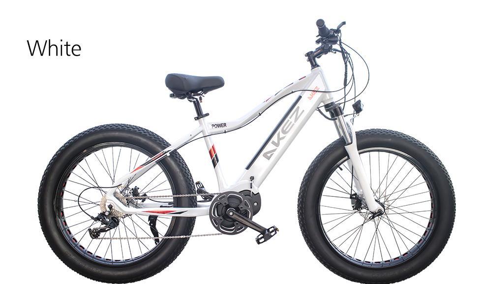 AKEZ Cruiser 48V Electric Bike 26-inch eBike Snow Motorized Bicycle AKEZ