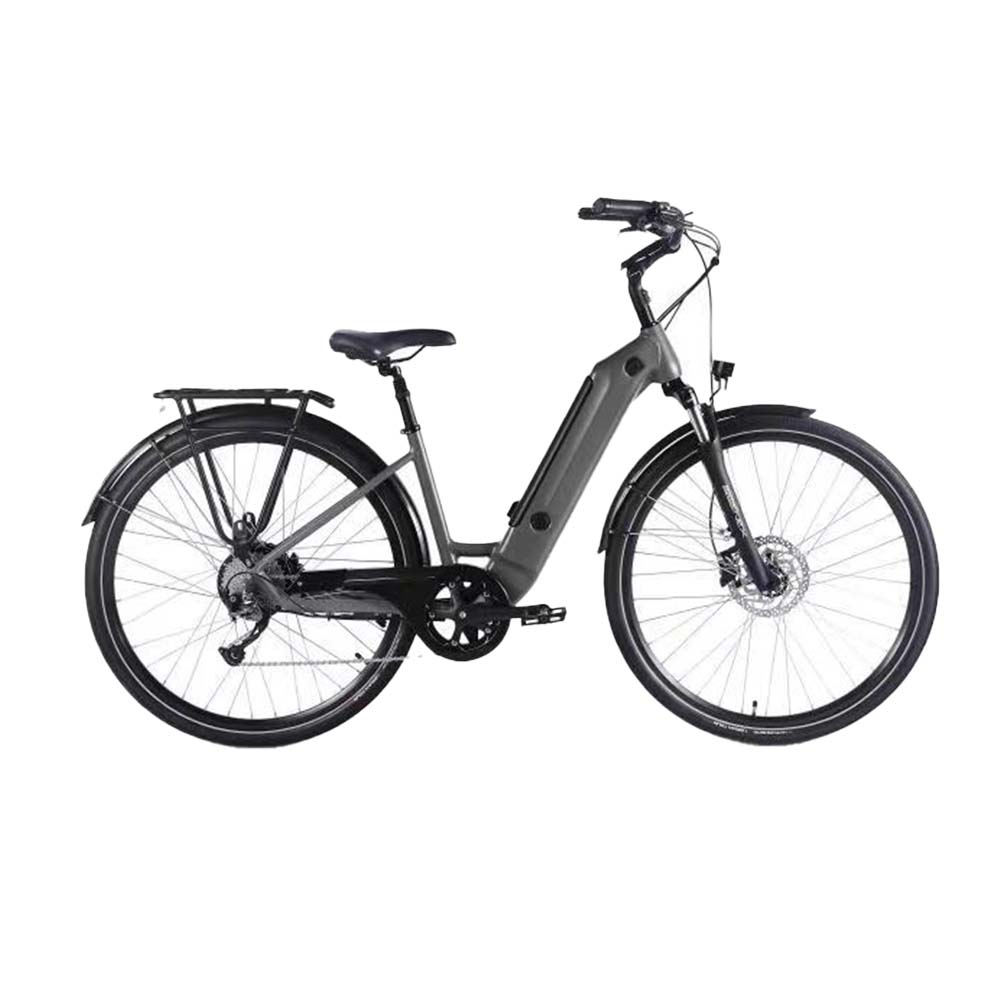 PRE-SALE WITH 10% Discount PROMARKE PCVR-002 26" Ebike 36V 350W 13Ah  Dark Grey Dispatch from 11/10/2022 bikescooterhub