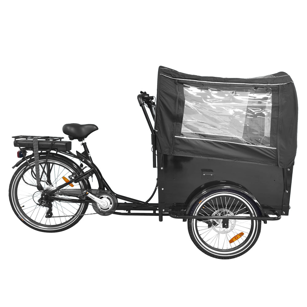 AKEZ PET-001 36V 250W 3 Wheels Electric Bike