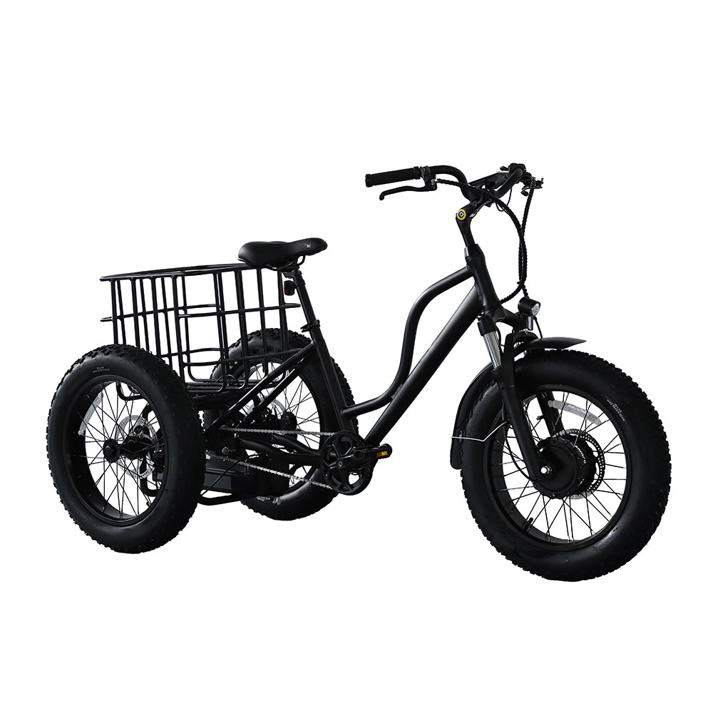 AKEZ 20 inches E-Tricycle PET-008 48V/500W 12Ah