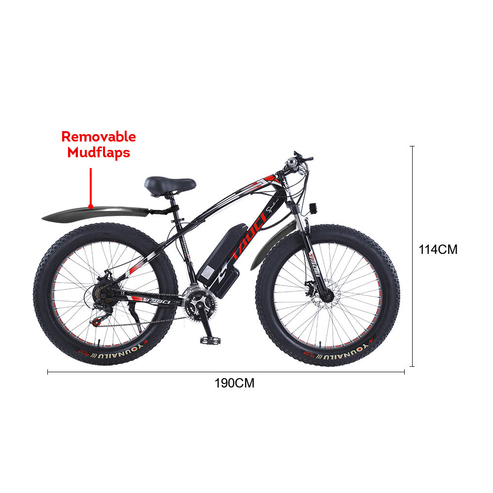 AKEZ TAOCI 350W 36V SNAKE Electric Bike Beach eBike Snow Motorized Bicycle