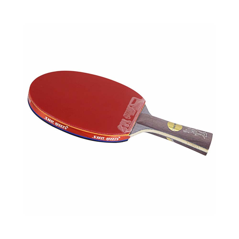 DHS Dragon Tennis Racket Gift Box/ Ping Pong Racket Paddle