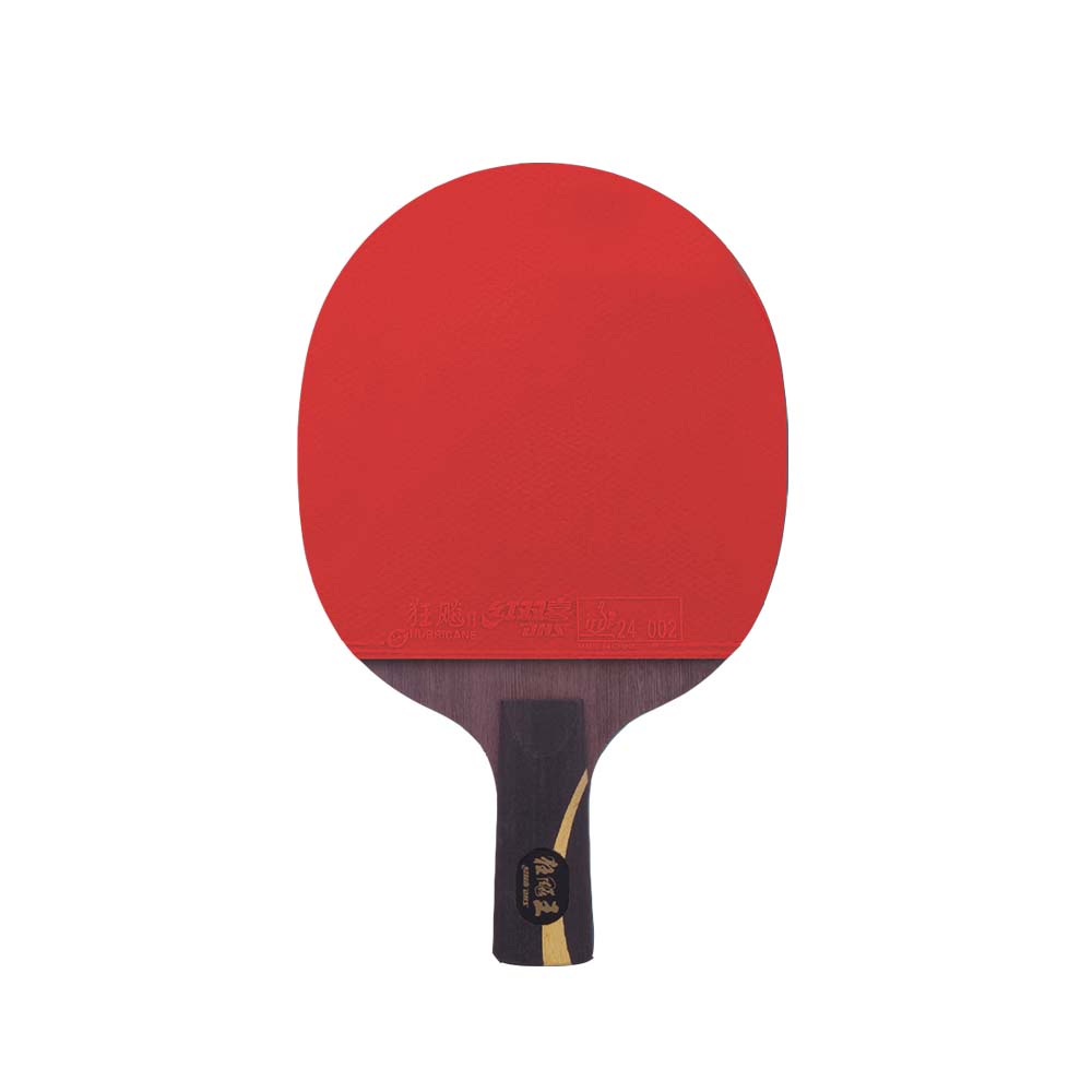 DHS HURRICANE PRO Table Tennis Racket/ Ping Pong Racket Paddle