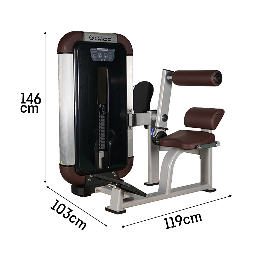 JMQ FITNESS 80KG Weight Stacks Back Extension Machine Fitness Equipment Gym Home Machine - Silver&Brown