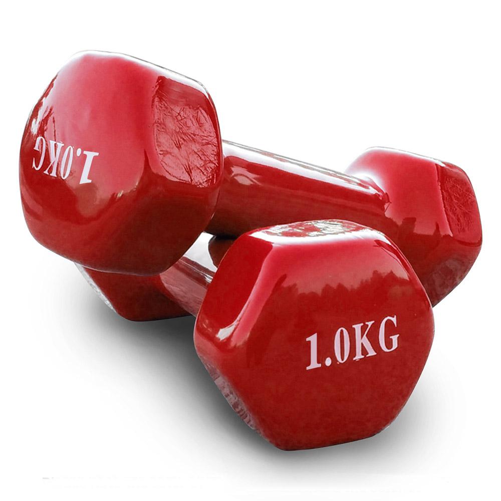 Hex Dumbell Coating Iron Dumbells Home Gym Weight Training Workout Red JMQ FITNESS