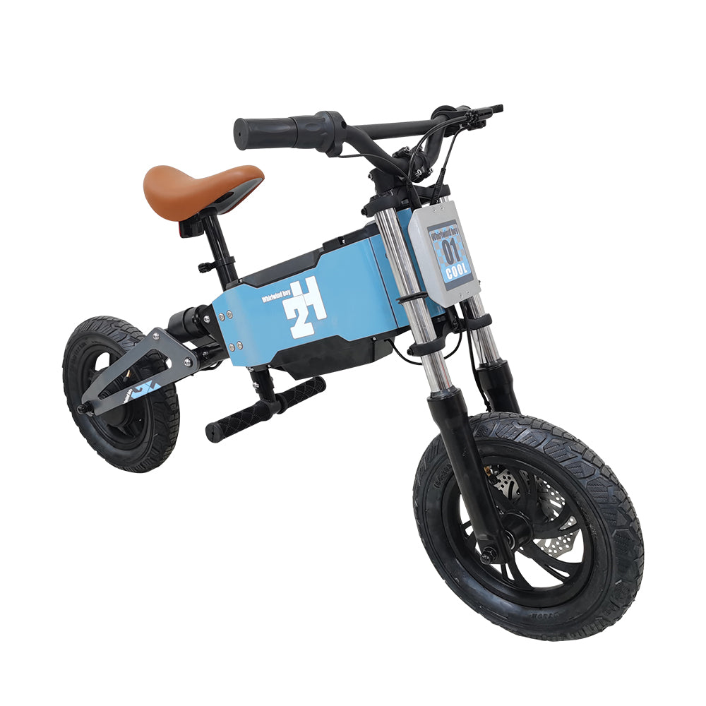 AKEZ H2 150W 24V 4Ah Electric Scooter for Kids Aluminum Frame - Blue