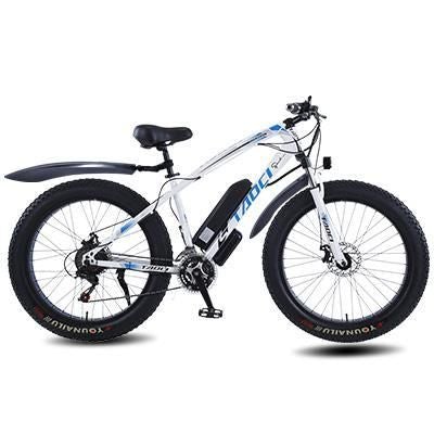 TAOCI 36V SNAKE Electric Bike Beach eBike Snow Motorized Bicycle AKEZ